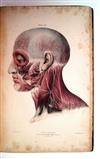 QUAIN, JONES; and WILSON, WILLIAM JAMES ERASMUS, Sir. The Nerves of the Human Body.  1839